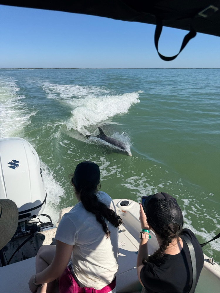 Two guests on a Sand Dollar boat watching a dolphin surface in the wake near Marco Island, Florida