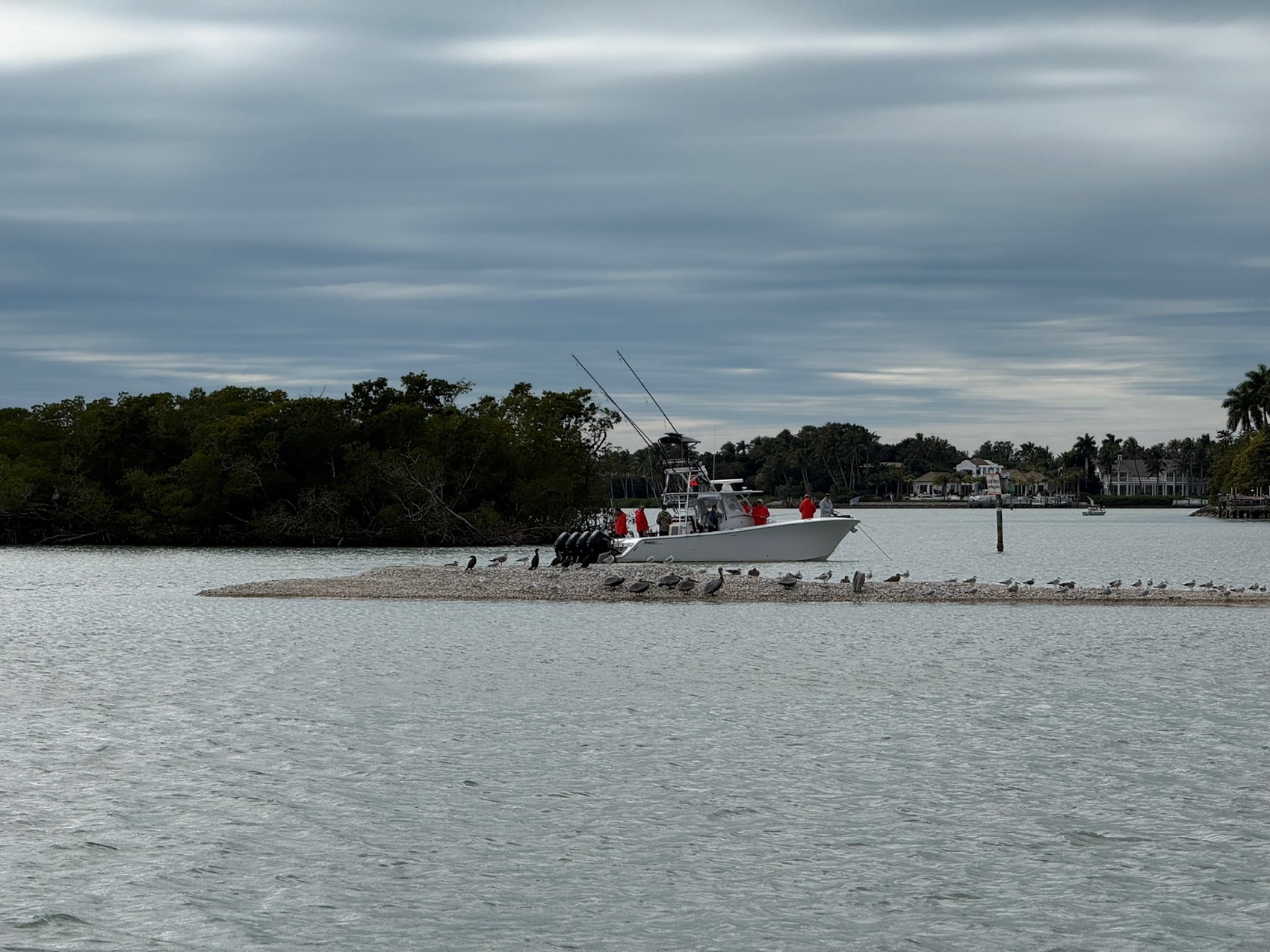 A Sand Dollar center-console fishing charter boat with rods up on a sandbar near Marco Island, Florida