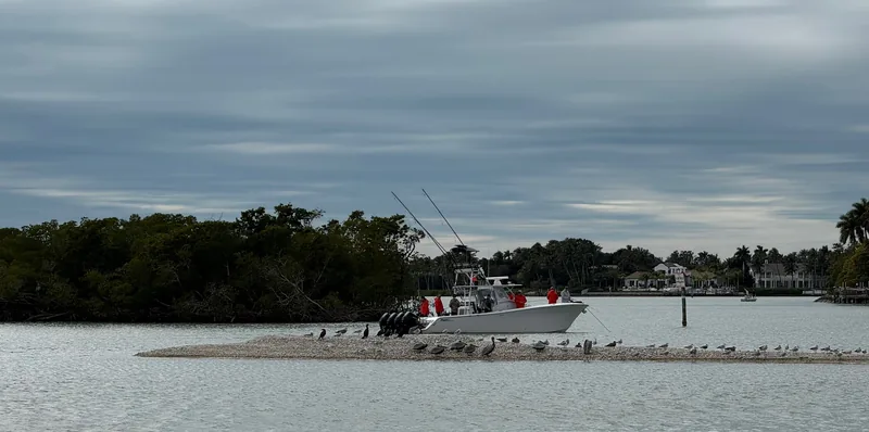 A fishing charter boat with rods up and anglers aboard beside a sandbar crowded with pelicans, cormorants and gulls