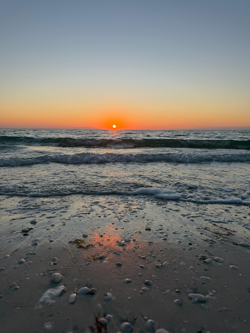 Golden Gulf of Mexico sunset with seashells scattered on a Marco Island beach