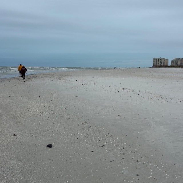 Secluded island beach on a Sand Dollar Ten Thousand Islands excursion
