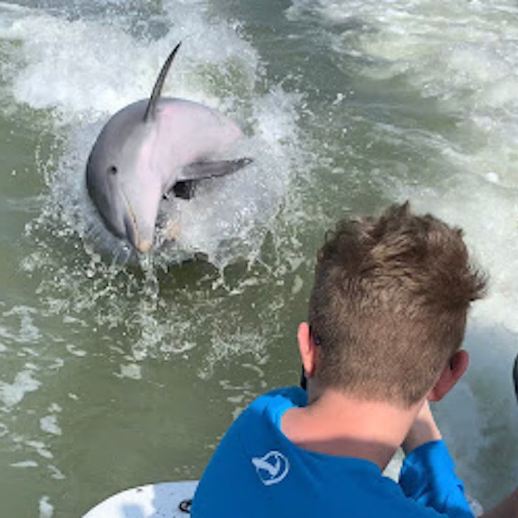 A wild bottlenose dolphin surfacing beside the boat as a young guest watches, Sand Dollar dolphin tour near Marco Island