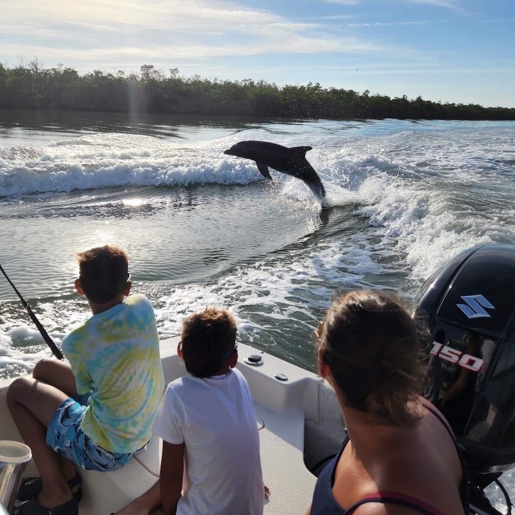 A wild dolphin surfacing near a boat in Naples, Florida