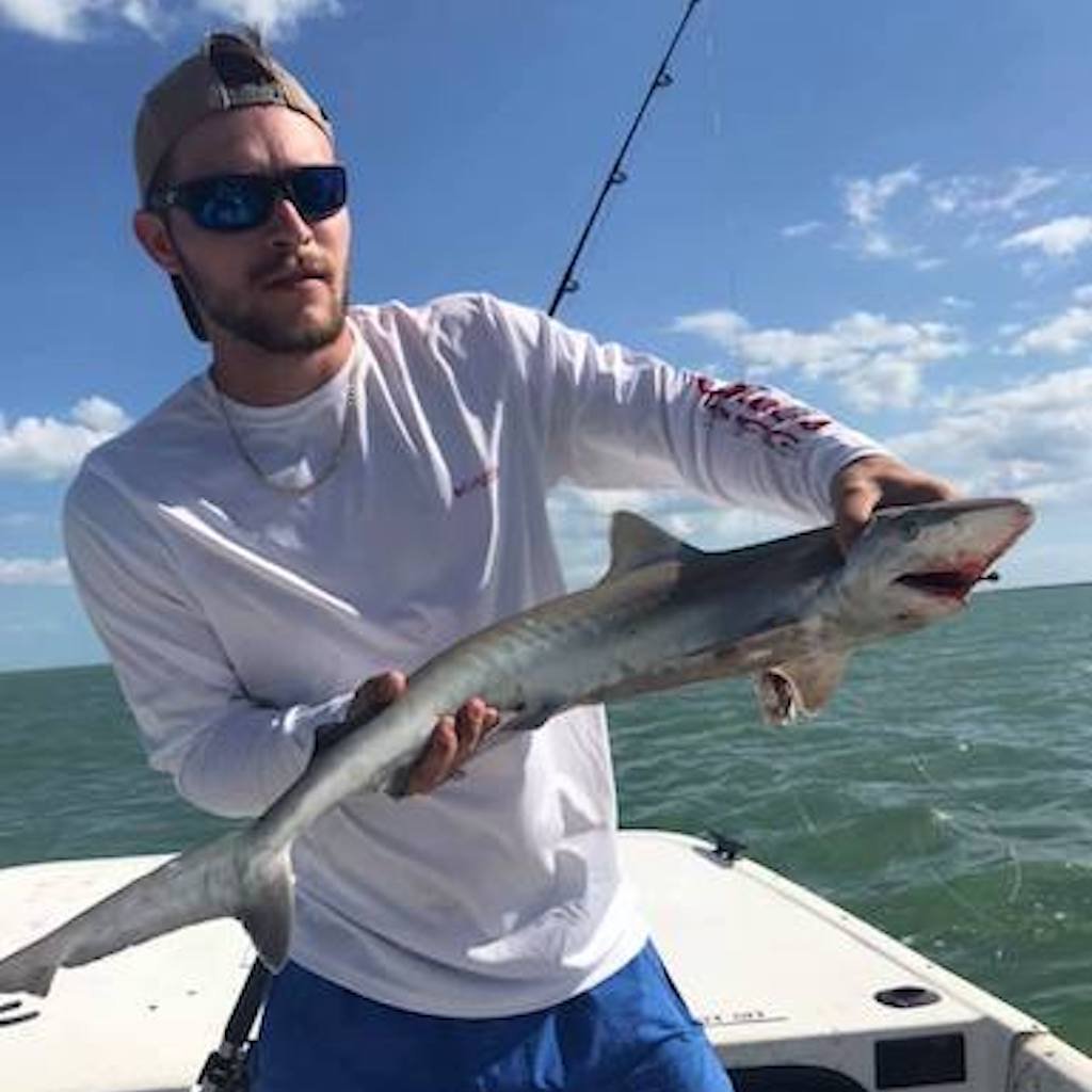A shark brought boatside before release on a Sand Dollar shark fishing charter near Marco Island