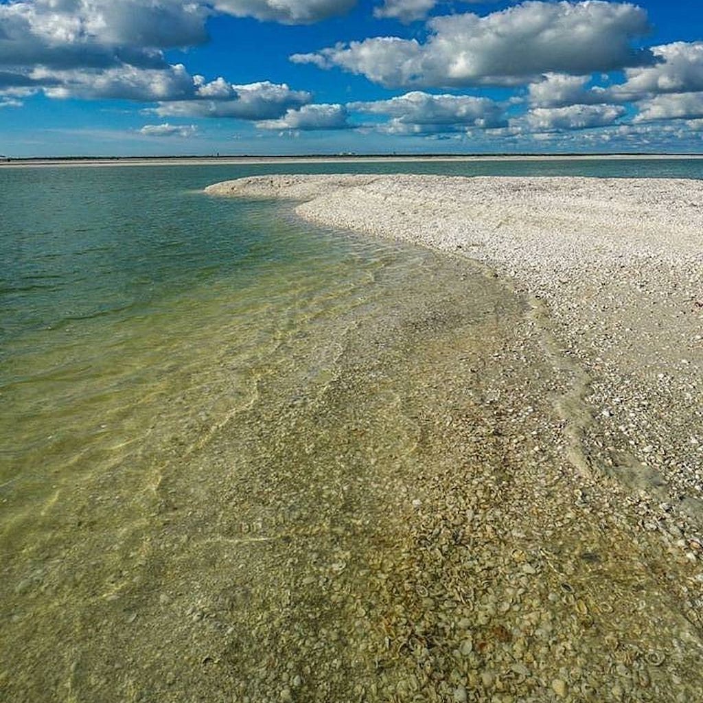 Guests combing a remote barrier-island beach for shells on a Sand Dollar shelling tour, Marco Island